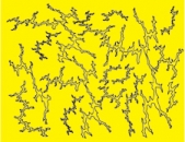Podrobnosti
